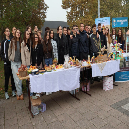 skolski-gastrofest-Doboj 08